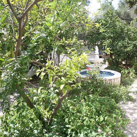 Villa Aphrodite Nissaki Niszáki Kültér fotó